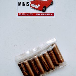 Klepgeleiders brons Classic-MINI