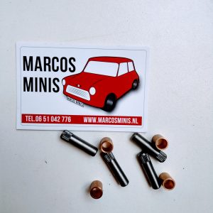 Revisieset buitenste deurscharnieren Classic-MINI