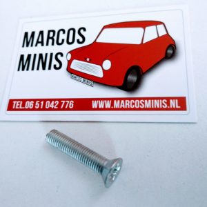 Schroef tbv het deurslot Classic-MINI