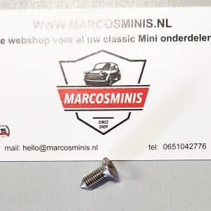 Schroef binnenspiegel classic-MINI
